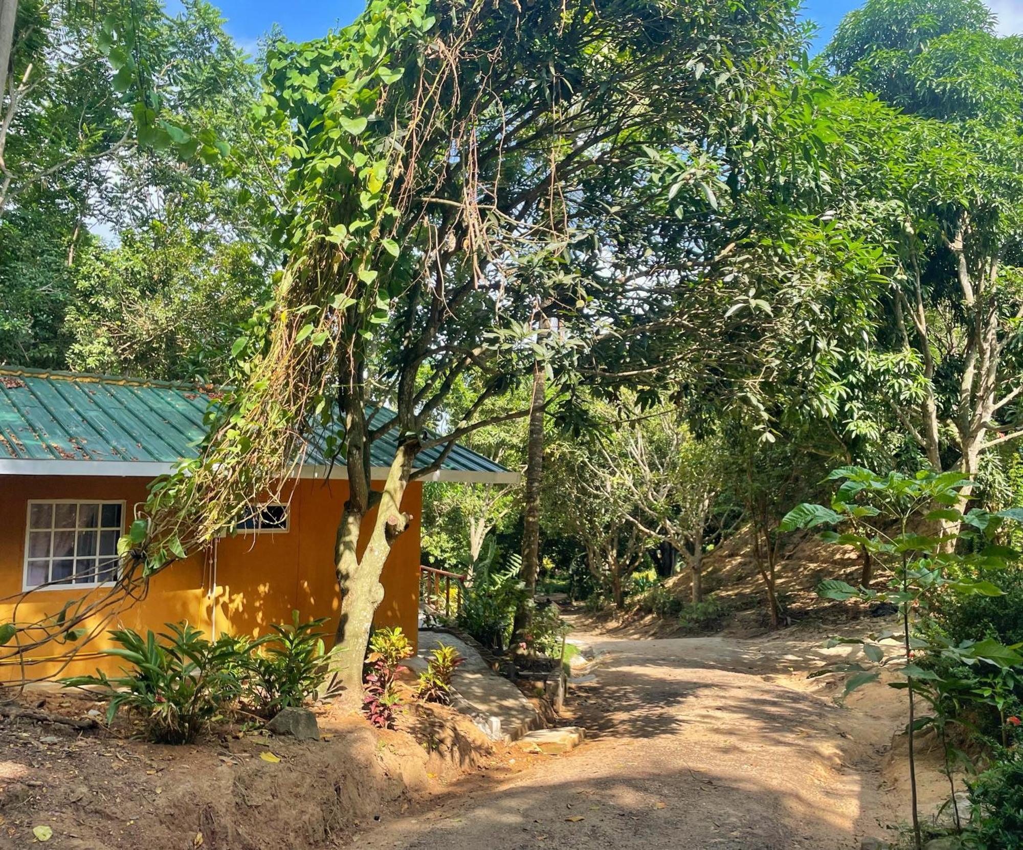 Hotel La Casablanca Tayrona Calabazo  Exteriér fotografie
